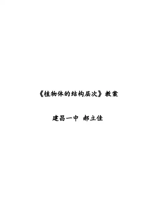 植物体的结构层次《教案》