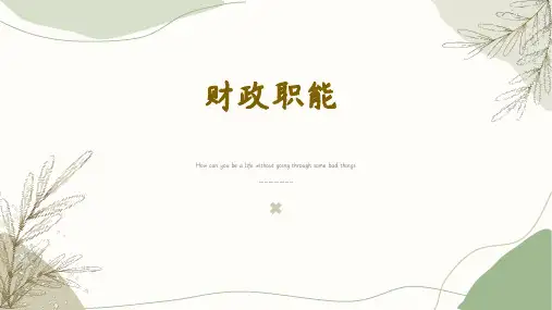 财政学基础：财政职能