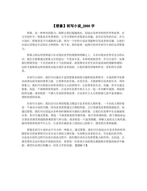 【想象】初写小说_2000字