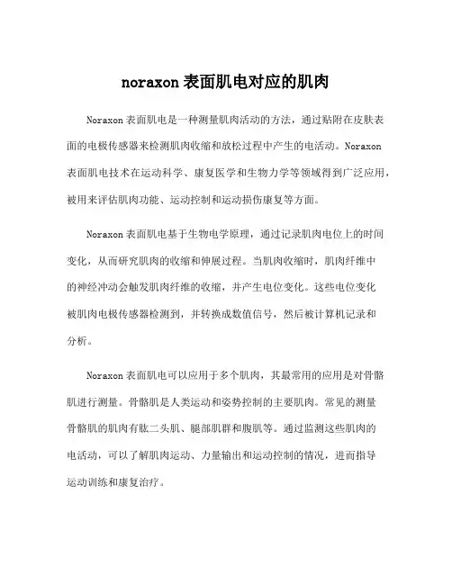 noraxon表面肌电对应的肌肉