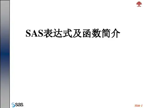 2.SAS基础_表达式及函数简介