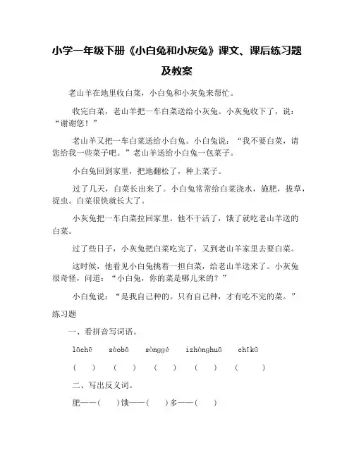 小学一年级下册《小白兔和小灰兔》课文、课后练习题及教案