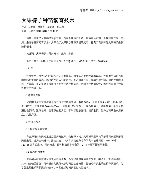 大果榛子种苗繁育技术