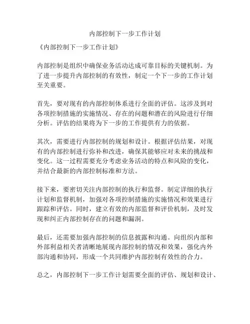内部控制下一步工作计划