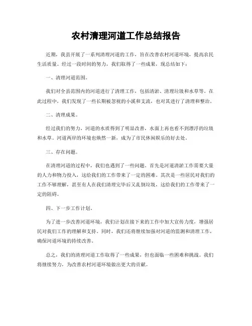 农村清理河道工作总结报告