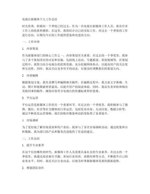电视台新媒体个人工作总结