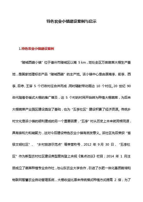 案例分析：特色农业小镇建设案例与启示