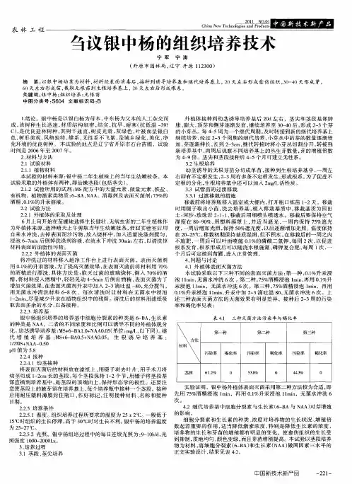 刍议银中杨的组织培养技术