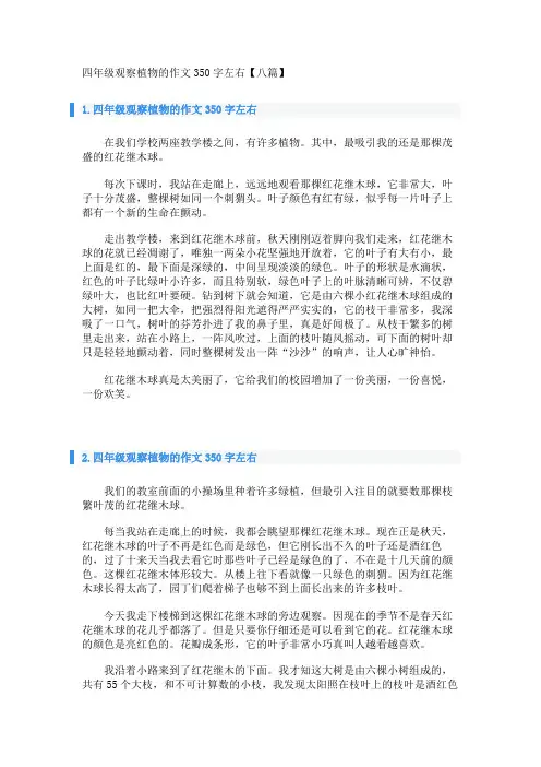 四年级观察植物的作文350字左右【八篇】 