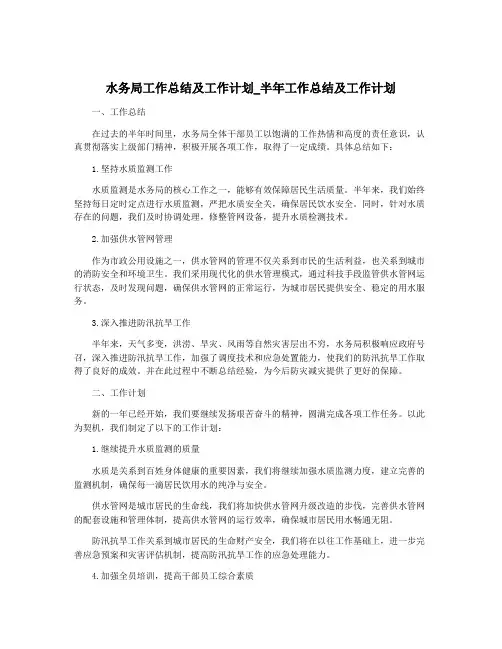水务局工作总结及工作计划_半年工作总结及工作计划