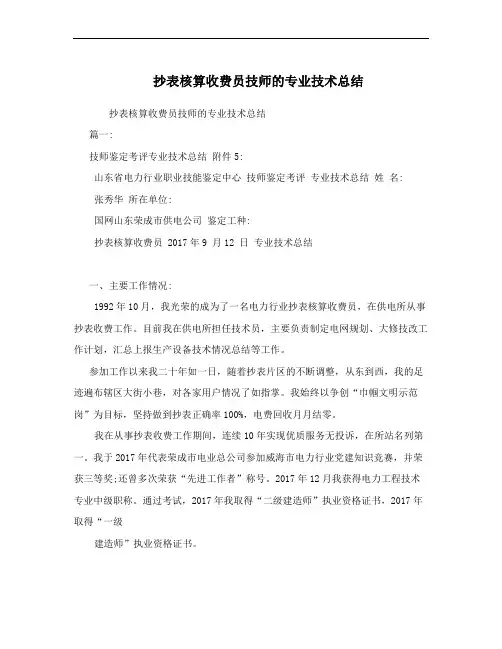 抄表核算收费员技师的专业技术总结