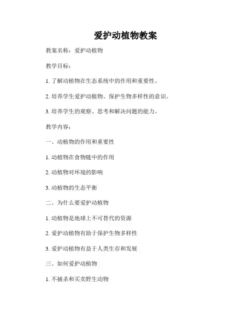 爱护动植物教案