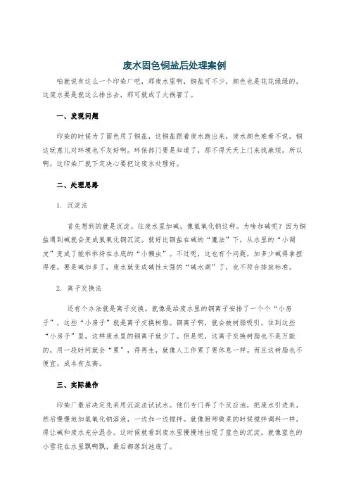 废水固色铜盐后处理案例
