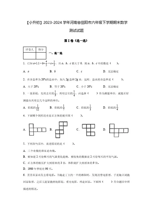 【小升初】2023-2024学年河南省信阳市六年级下学期期末数学测试试题2套(含解析)