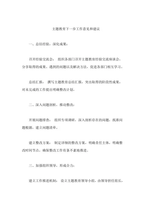 主题教育下一步工作意见和建议