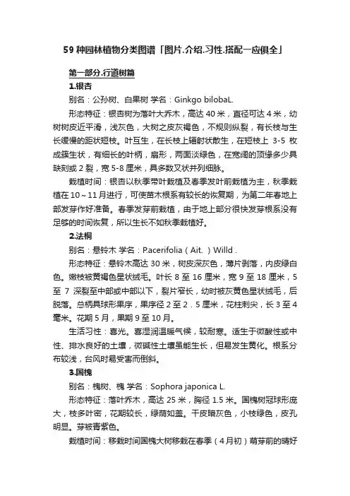 59种园林植物分类图谱「图片.介绍.习性.搭配一应俱全」