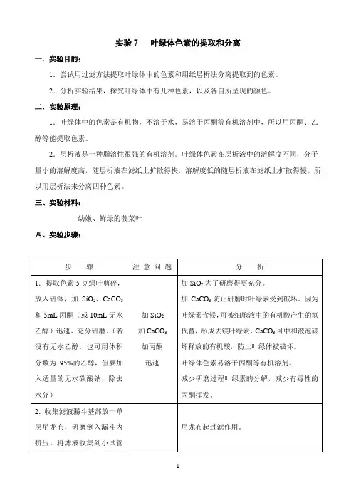 实验7   叶绿体色素的提取和分离