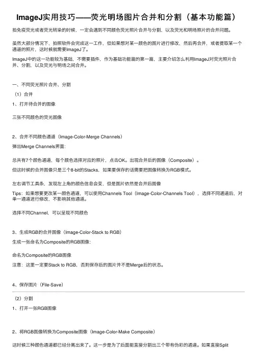 ImageJ实用技巧——荧光明场图片合并和分割（基本功能篇）