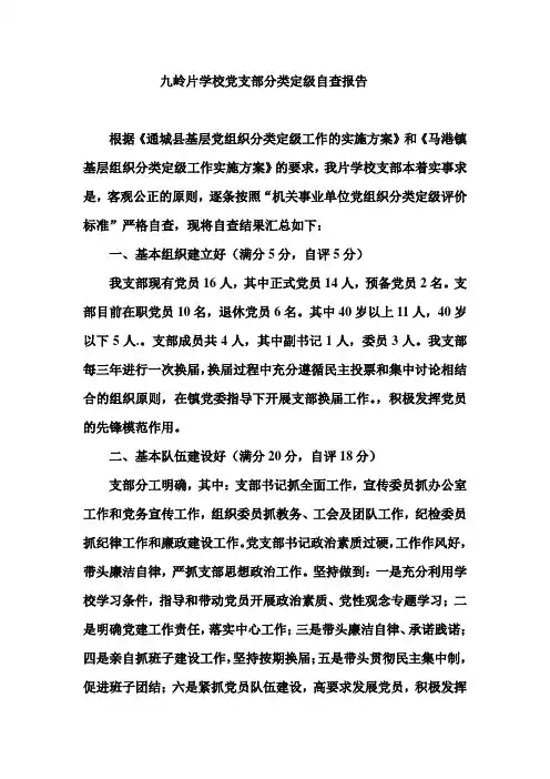 九岭片学校党支部分类定级自查报告
