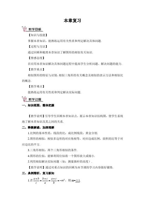 《图形的相似》总复习教案