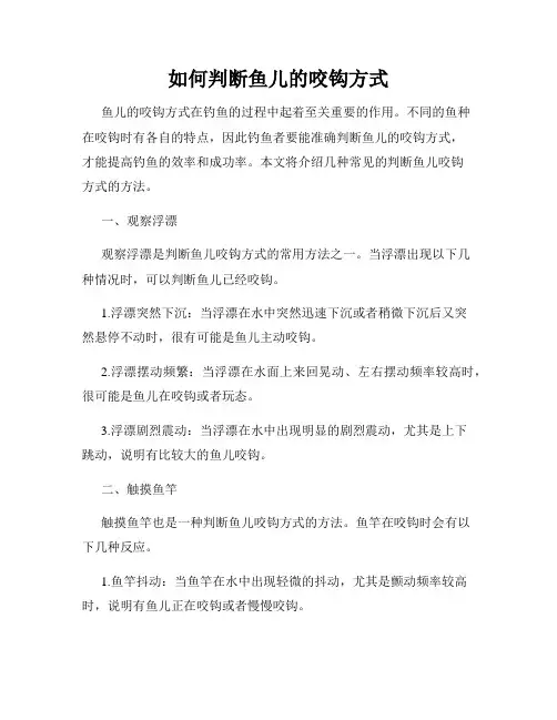 如何判断鱼儿的咬钩方式