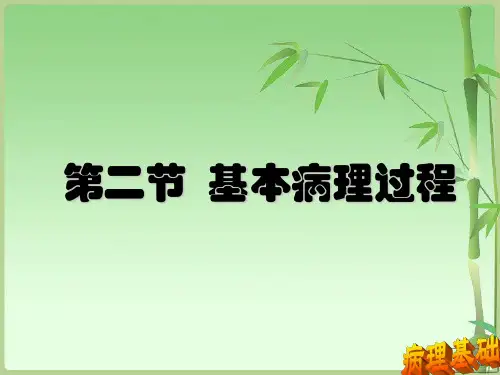基本病理过程
