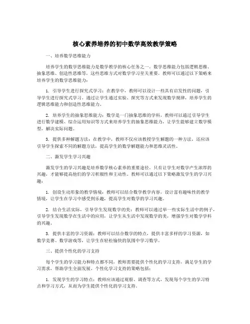 核心素养培养的初中数学高效教学策略