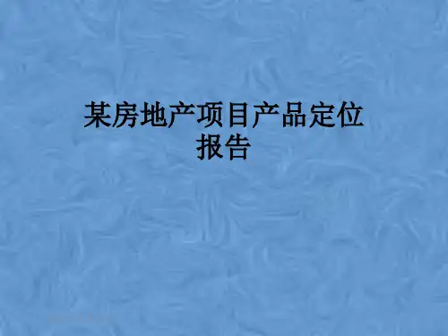 某房地产项目产品定位报告