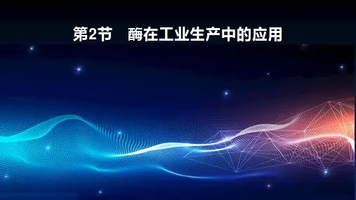 人教高中生物选修2第3章第2节 酶在工业生产中的应用 (2)