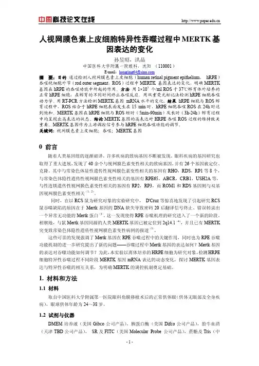 人视网膜色素上皮细胞特异性吞噬过程中MERTK基因表达的变化