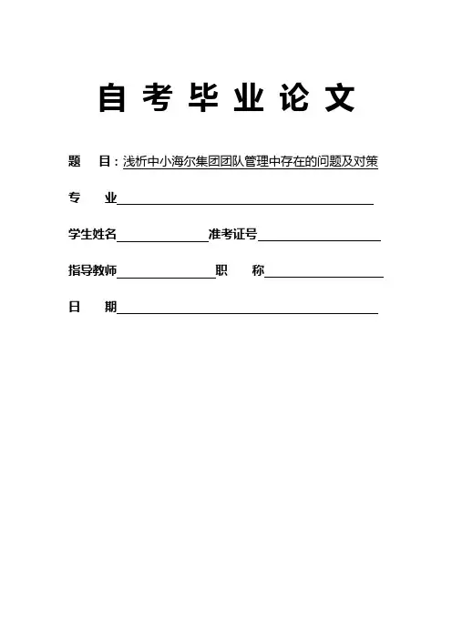 海尔集团团队管理中存在的问题及对策分析