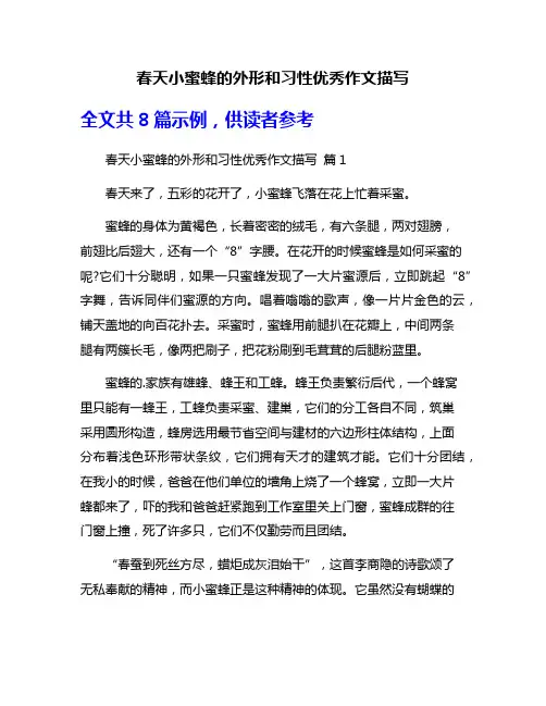 春天小蜜蜂的外形和习性优秀作文描写