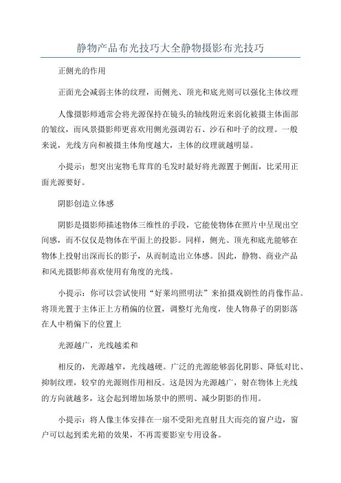 静物产品布光技巧大全静物摄影布光技巧
