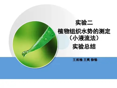 实验2-植物组织水势的测定(小液流法)