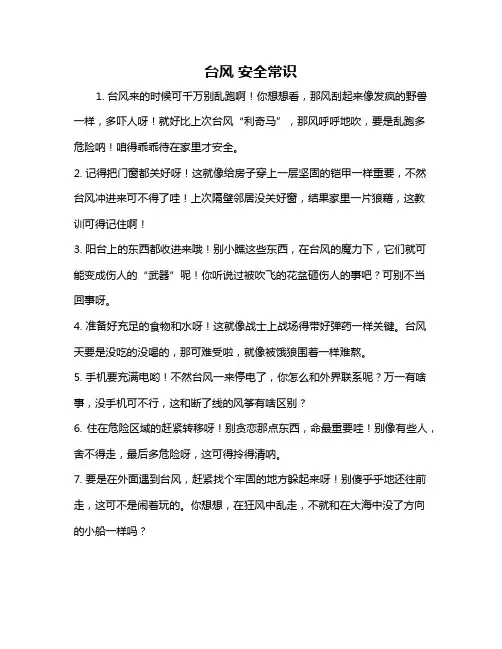 台风 安全常识