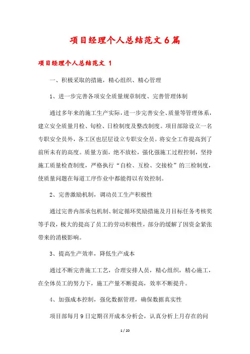 项目经理个人总结范文6篇