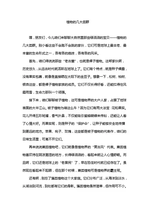 植物的几大类群
