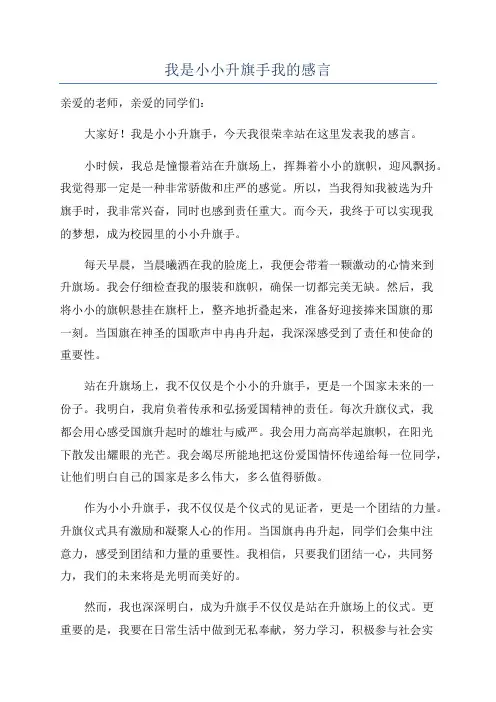 我是小小升旗手我的感言