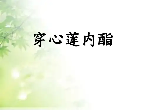 第四组      穿心莲内酯