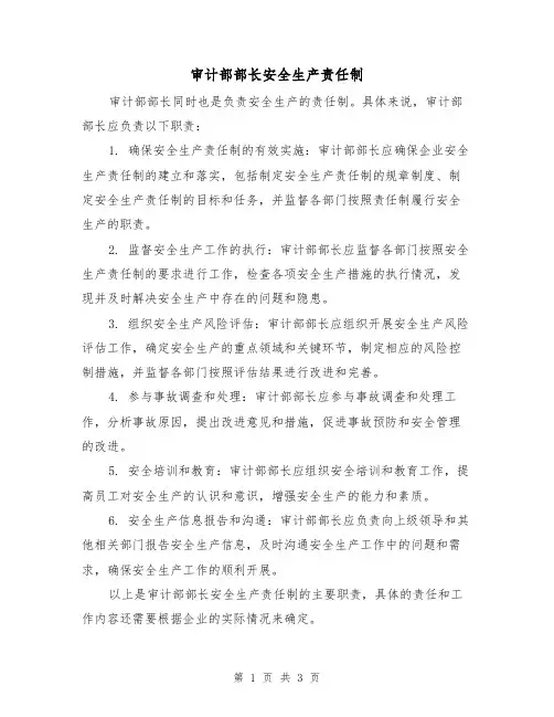 审计部部长安全生产责任制（三篇）