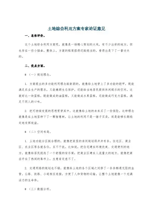 土地综合利用方案专家论证意见