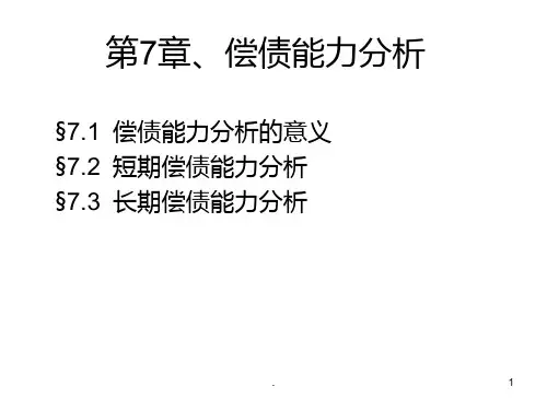 偿债能力分析PPT课件