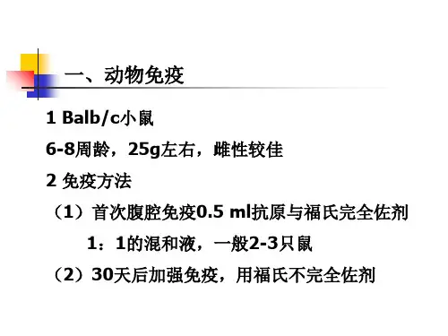单克隆抗体制备资料