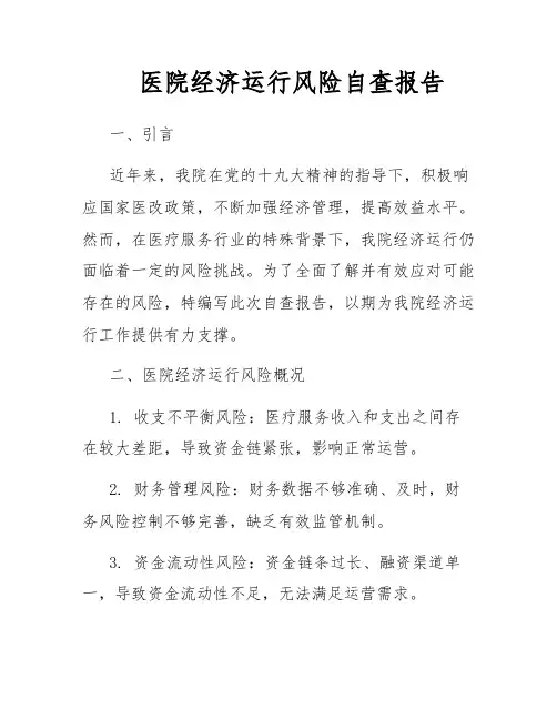 医院经济运行风险自查报告