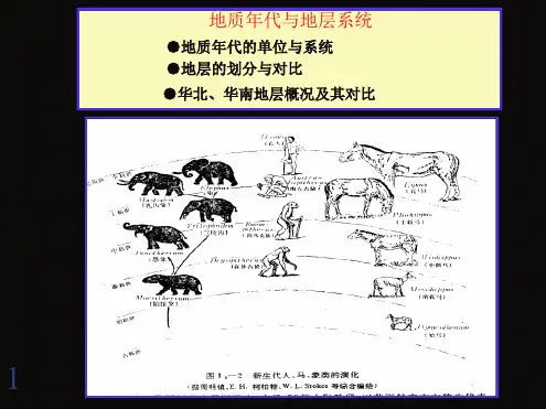 地质年代与地层系统PPT精品课件