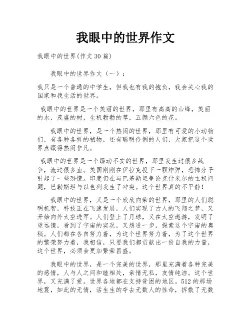 我眼中的世界作文