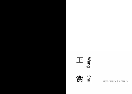 当代建筑设计思潮——王澍