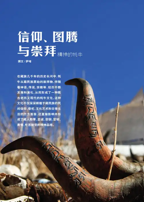 信仰、图腾与崇拜