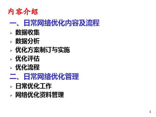 无线网络优化流程ppt课件