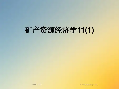 矿产资源经济学11(1)